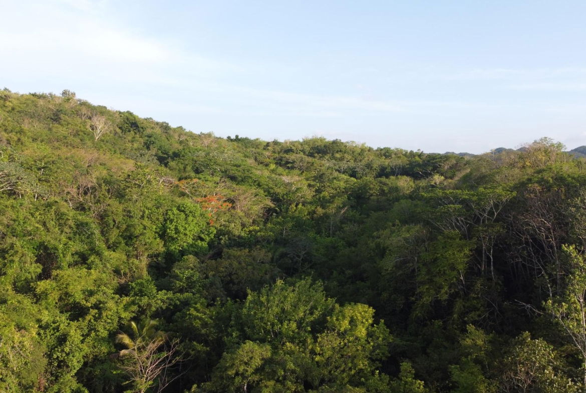Ninth image of Gravesend, Trelawny in Gravesend, Trelawny, Jamaica - property is For Sale