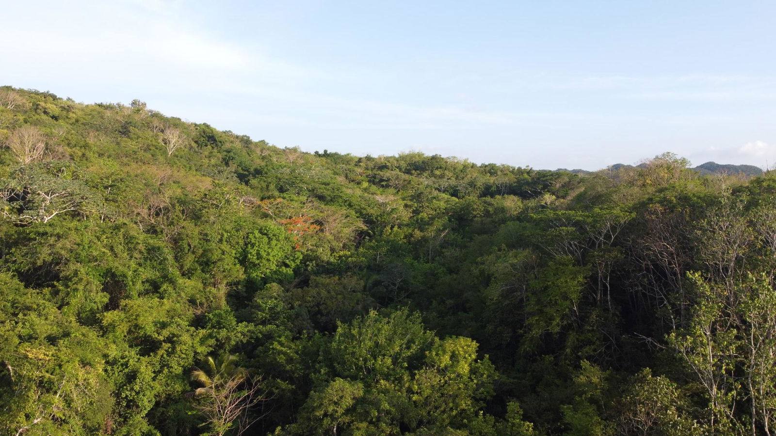 Ninth image of Gravesend, Trelawny in Gravesend, Trelawny, Jamaica - property is For Sale