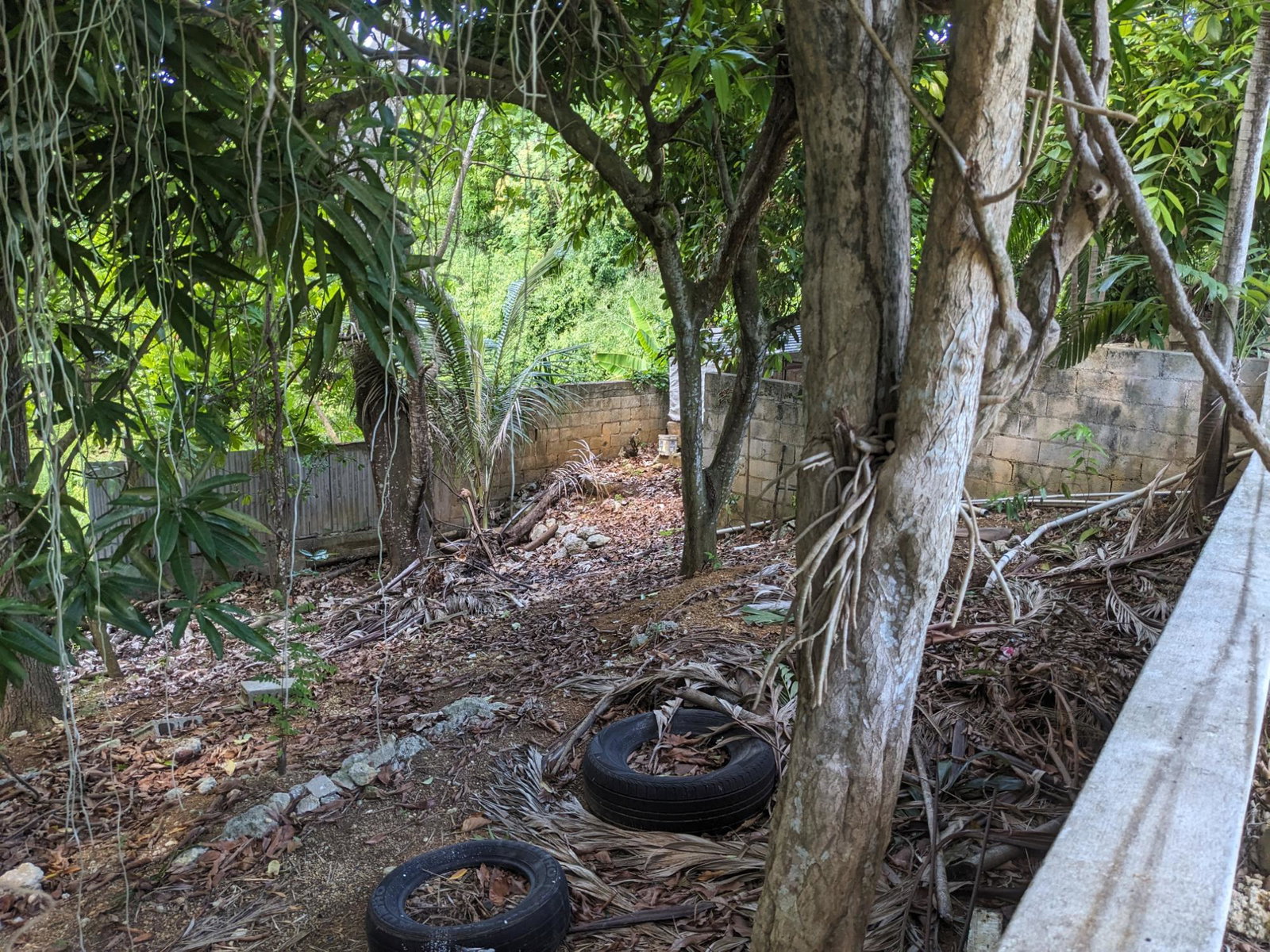 Fourth image of 342 Cedar Plantation Village in Plantation Village, St. Ann, Jamaica - property is For Sale