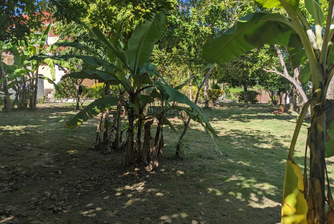 Seventh image of 342 Cedar Plantation Village in Plantation Village, St. Ann, Jamaica - property is For Sale