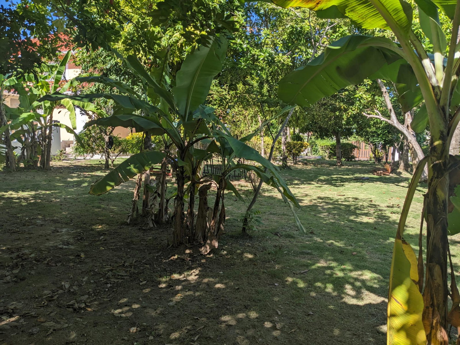 Seventh image of 342 Cedar Plantation Village in Plantation Village, St. Ann, Jamaica - property is For Sale