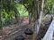 First image of 342 Cedar Plantation Village in Plantation Village, St. Ann, Jamaica - property is For Sale