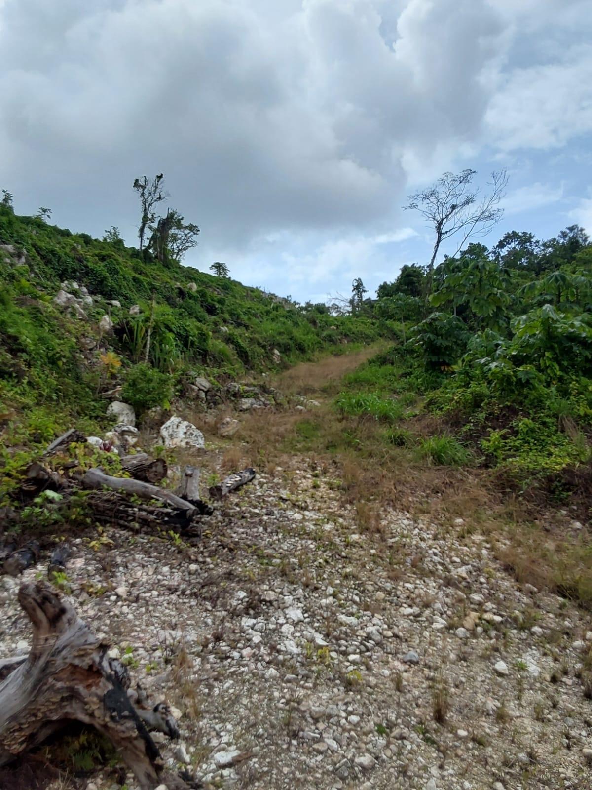 Fourth image of Lot 6- Ramble Hill in Bogue, St. James, Jamaica - property is For Sale