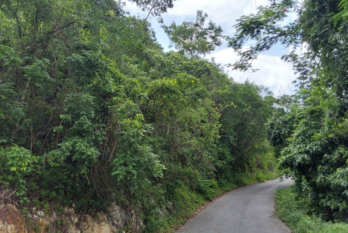 Second image of Lot 4- Ramble Hill in Bogue, St. James, Jamaica - property is For Sale