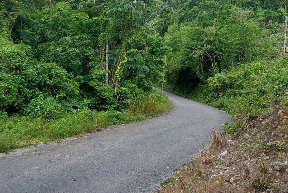 Fourth image of Lot 4- Ramble Hill in Bogue, St. James, Jamaica - property is For Sale