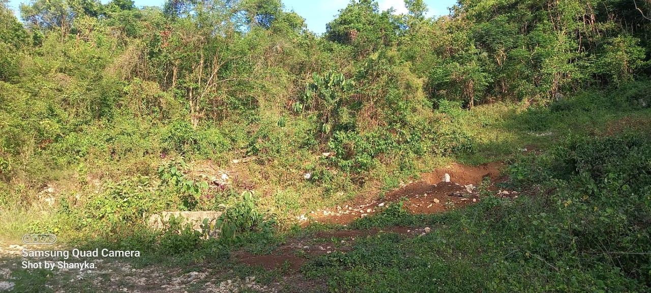 Residential-Lot-for-Sale-in-Retirement-Phase-2-St.-James-Jamaica Third image of 566 Retirement Phase 2 in Granville, St. James, Jamaica - property is For Sale