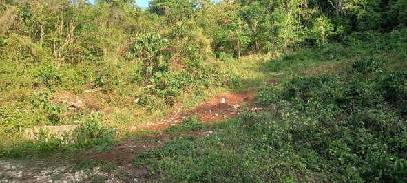 Fifth image of 566 Retirement Phase 2 in Granville, St. James, Jamaica - property is For Sale
