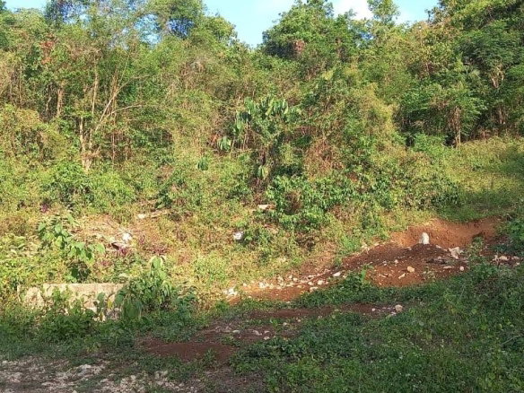 First image of 566 Retirement Phase 2 in Granville, St. James, Jamaica - property is For Sale