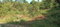 First image of 566 Retirement Phase 2 in Granville, St. James, Jamaica - property is For Sale