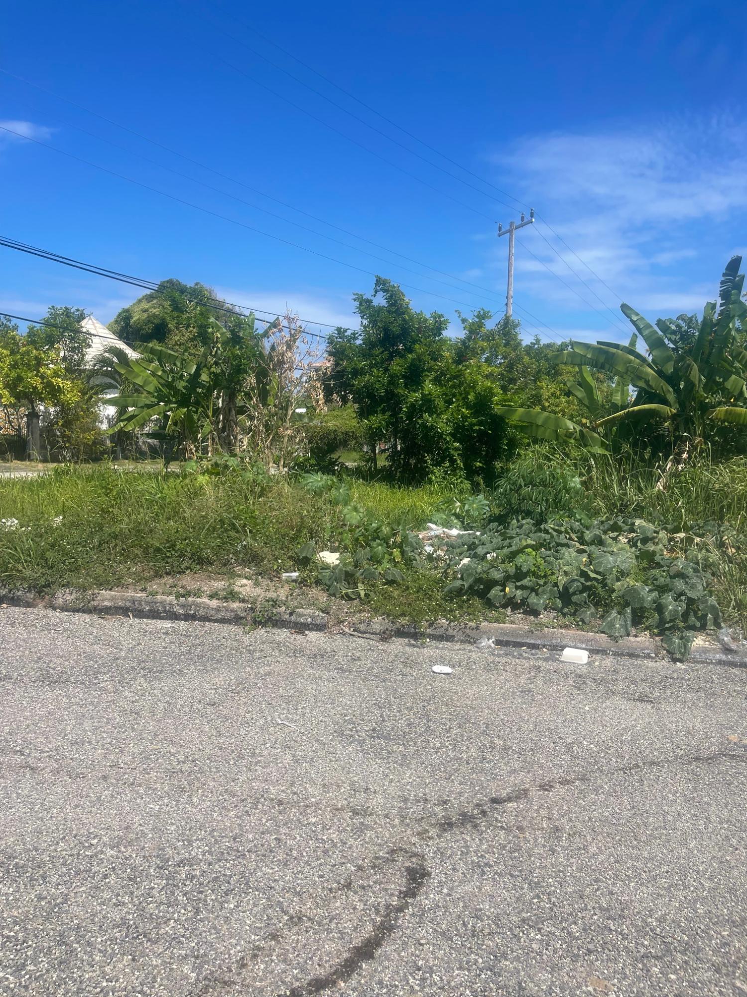 Second image of 225 Rio Nuevo Resorts in Rio Nuevo Resorts, St. Mary, Jamaica - property is For Sale