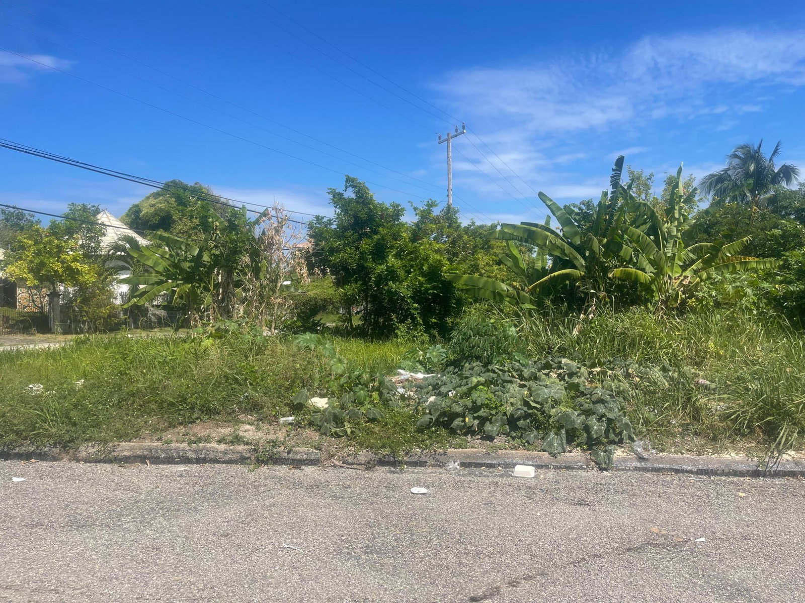 Third image of 225 Rio Nuevo Resorts in Rio Nuevo Resorts, St. Mary, Jamaica - property is For Sale
