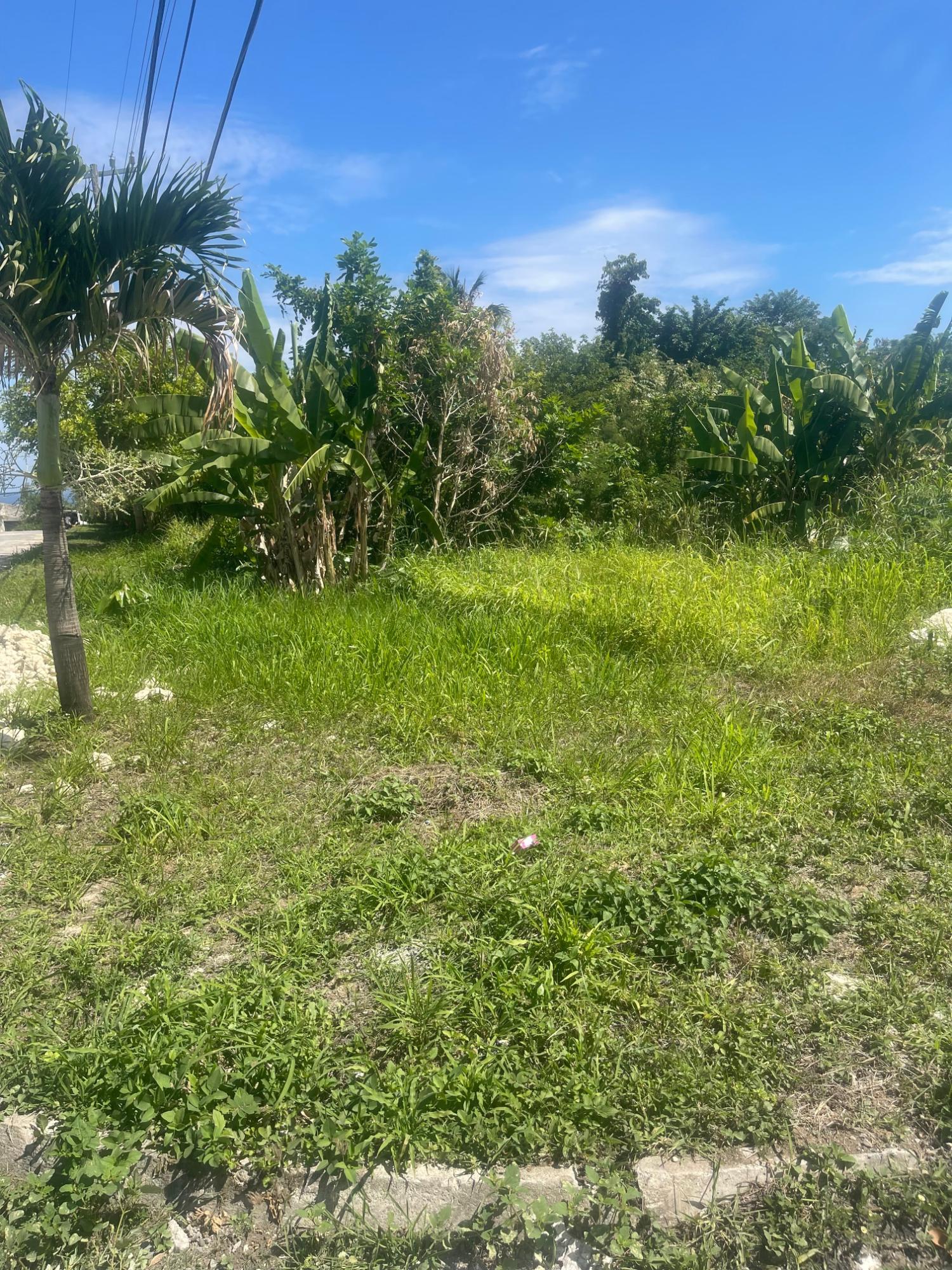Seventh image of 225 Rio Nuevo Resorts in Rio Nuevo Resorts, St. Mary, Jamaica - property is For Sale