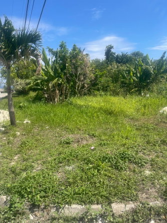 Seventh image of 225 Rio Nuevo Resorts in Rio Nuevo Resorts, St. Mary, Jamaica - property is For Sale