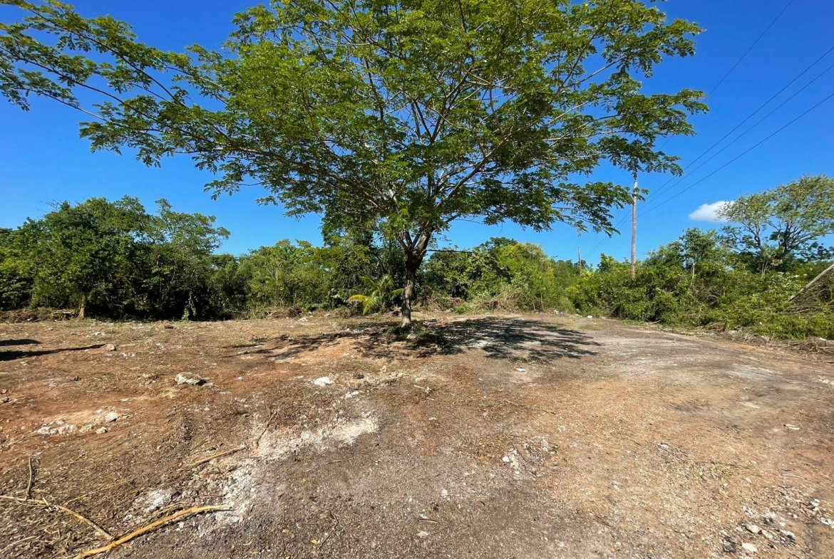 Second image of 306 Rio Nuevo Resort in Rio Nuevo Resorts, St. Mary, Jamaica - property is For Sale