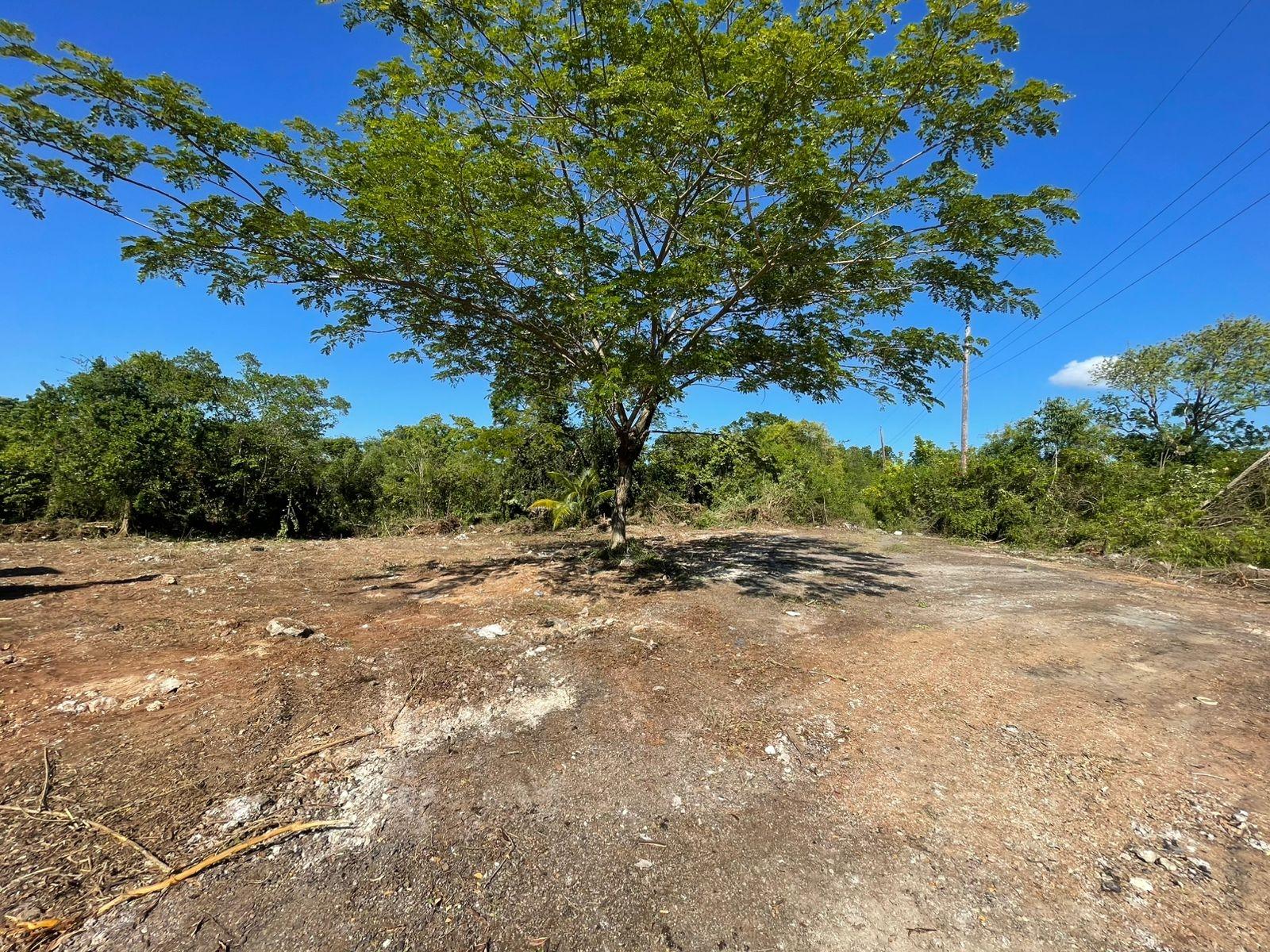 Second image of 306 Rio Nuevo Resort in Rio Nuevo Resorts, St. Mary, Jamaica - property is For Sale