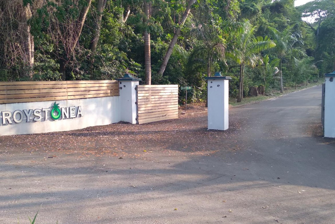 First image of 66 Roystonia, Tower Isles in Tower Isle, St. Mary, Jamaica - property is For Sale