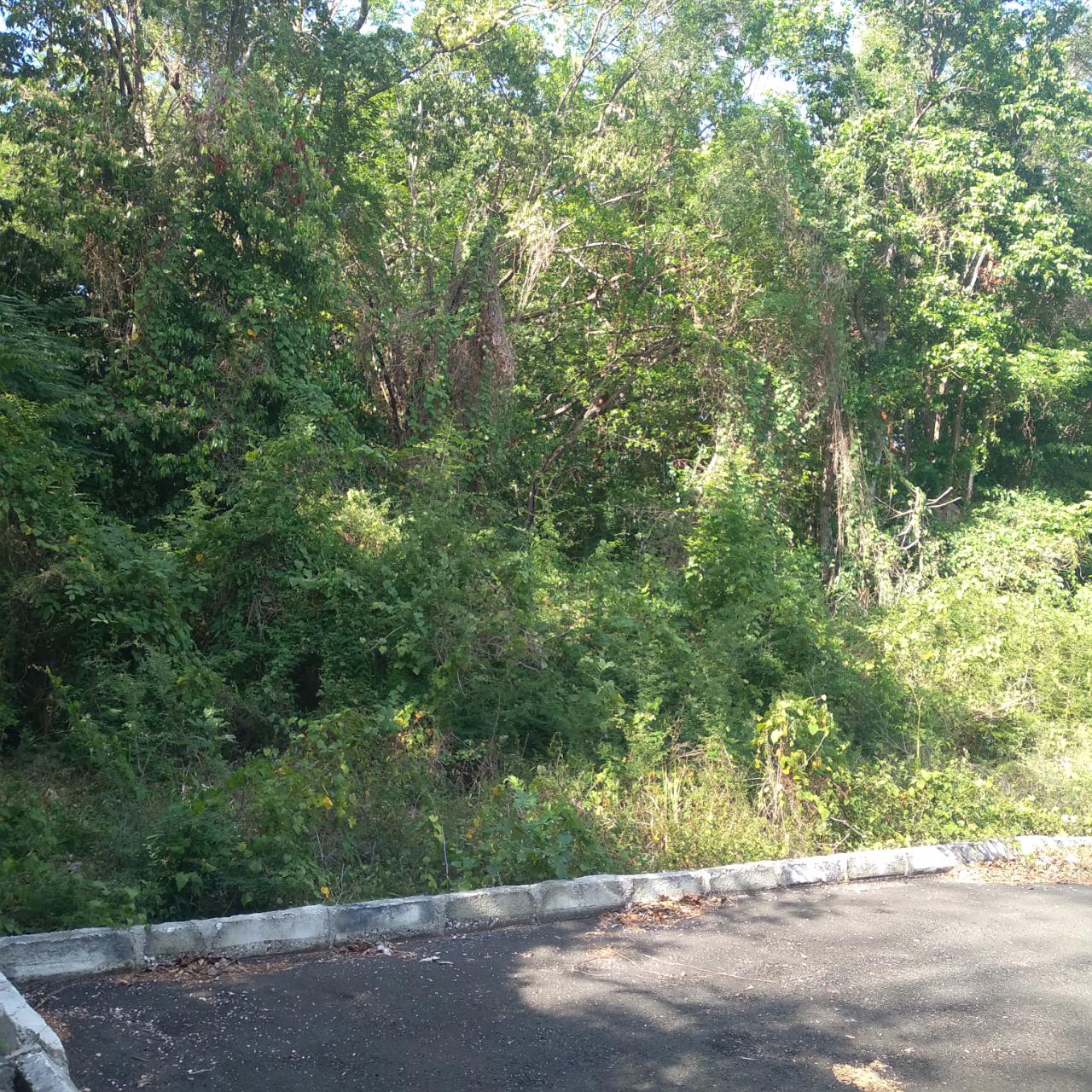Residential-Lot-for-Sale-in-Roystonea-Tower-Isle-St.-Mary-Jamaica Third image of 66 Roystonia, Tower Isles in Tower Isle, St. Mary, Jamaica - property is For Sale