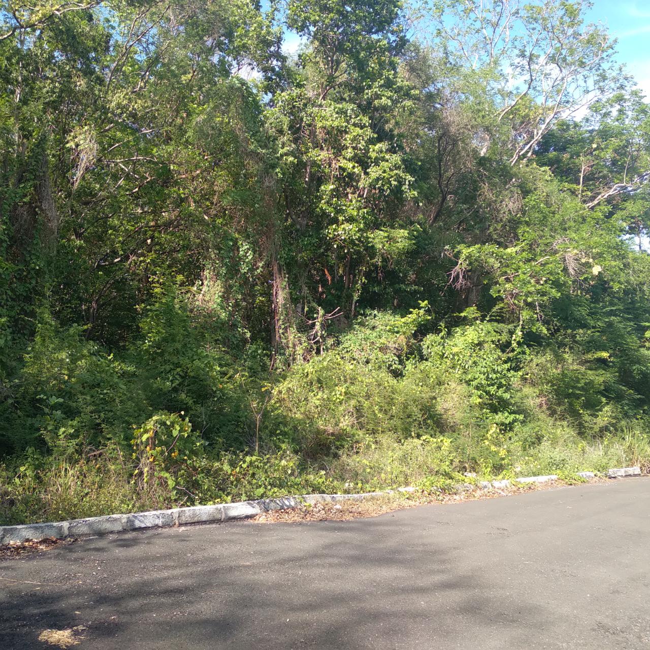 Residential-Lot-for-Sale-in-Roystonea-Tower-Isle-St.-Mary-Jamaica Fifth image of 66 Roystonia, Tower Isles in Tower Isle, St. Mary, Jamaica - property is For Sale