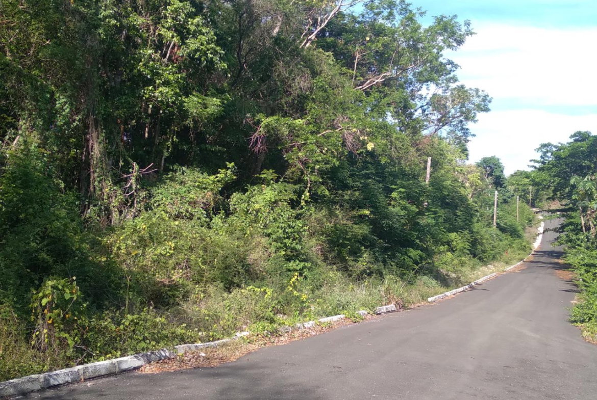 Sixth image of 66 Roystonia, Tower Isles in Tower Isle, St. Mary, Jamaica - property is For Sale