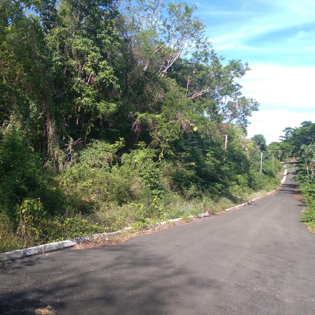 Residential-Lot-for-Sale-in-Roystonea-Tower-Isle-St.-Mary-Jamaica Sixth image of 66 Roystonia, Tower Isles in Tower Isle, St. Mary, Jamaica - property is For Sale