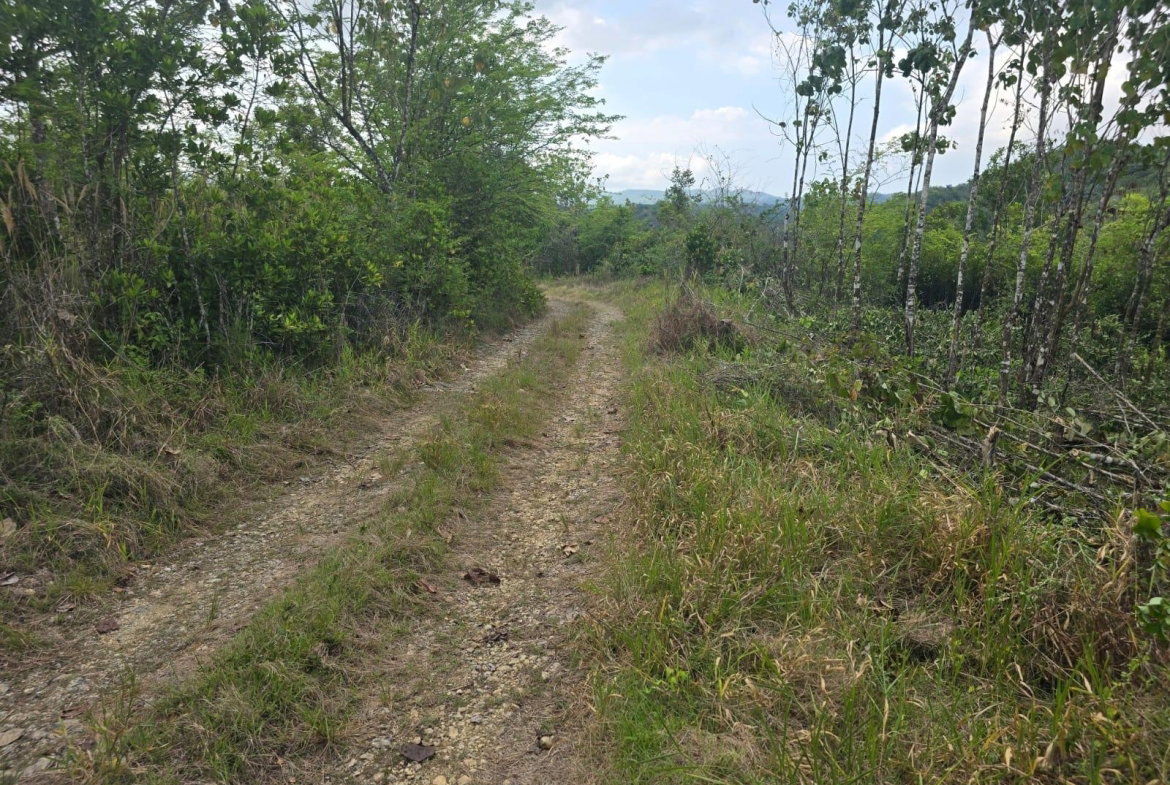 Fourth image of 237 Seven Rivers in Seven Rivers, St. James, Jamaica - property is For Sale