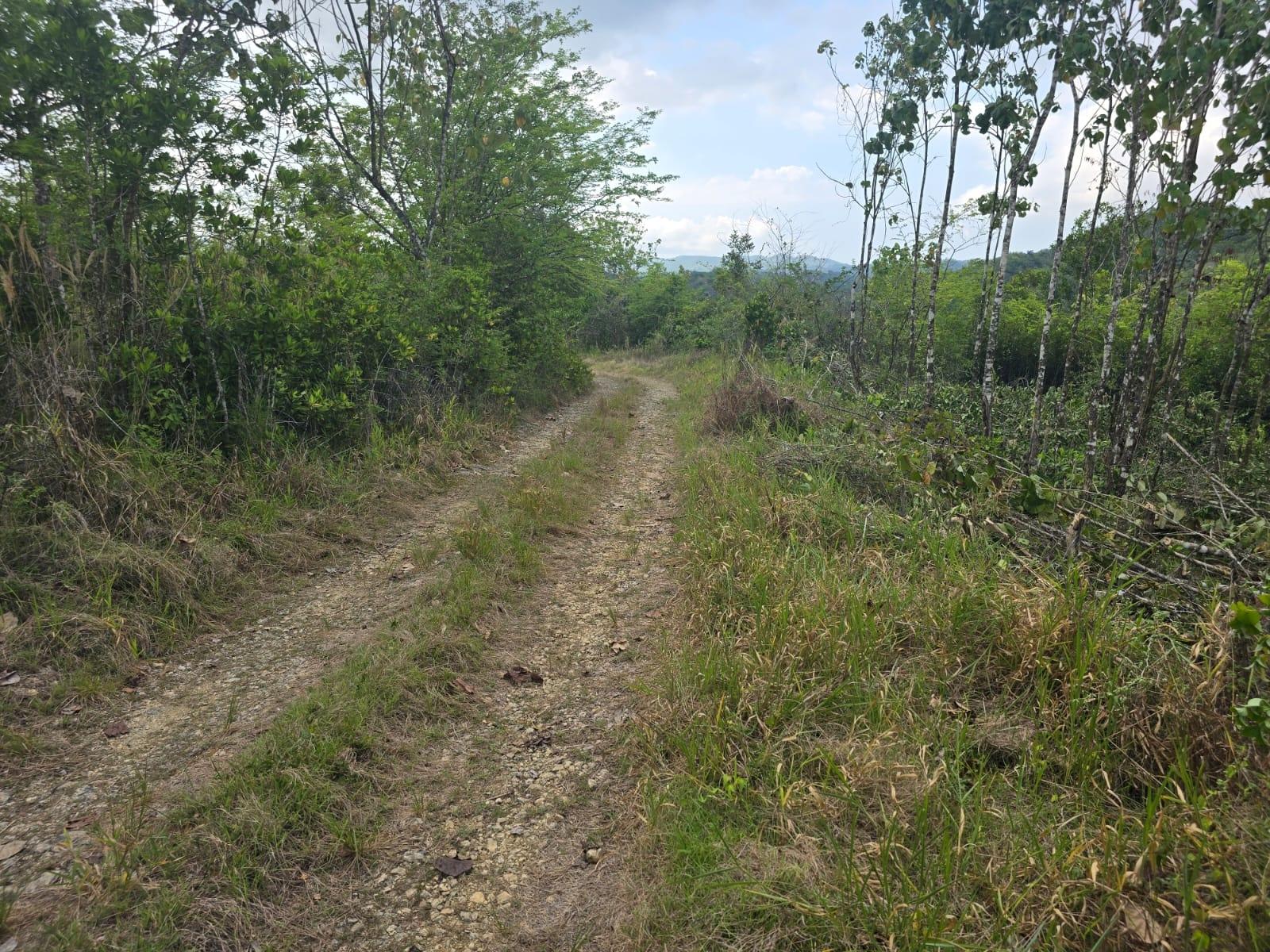 Residential-Lot-for-Sale-in-Seven-Rivers-St.-James-Jamaica Fourth image of 237 Seven Rivers in Seven Rivers, St. James, Jamaica - property is For Sale