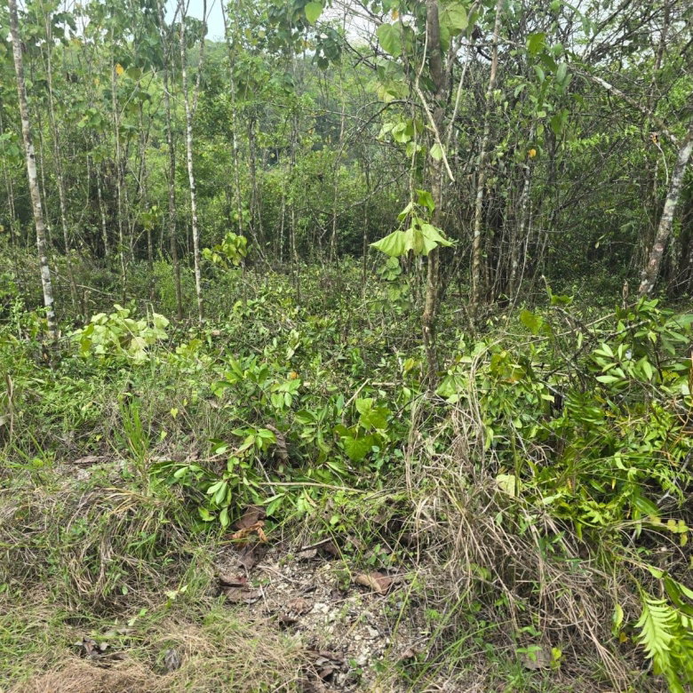 First image of 237 Seven Rivers in Seven Rivers, St. James, Jamaica - property is For Sale