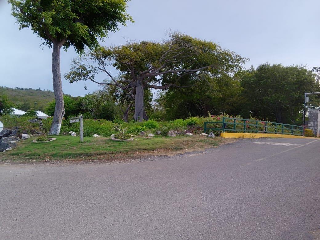 Third image of Lot 63- Lobster Lane , Silver San in Duncans, Trelawny, Jamaica - property is For Sale