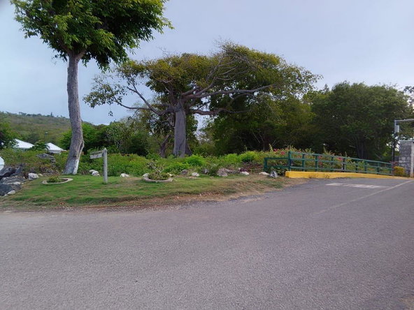 Third image of Lot 63- Lobster Lane , Silver San in Duncans, Trelawny, Jamaica - property is For Sale