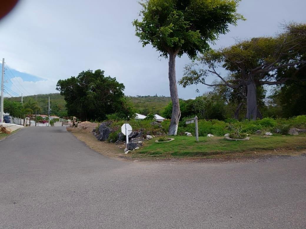 Fourth image of Lot 63- Lobster Lane , Silver San in Duncans, Trelawny, Jamaica - property is For Sale