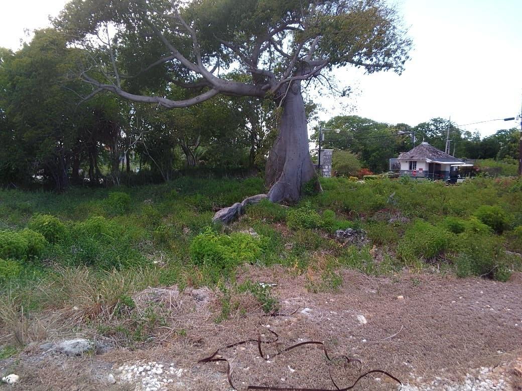 Sixth image of Lot 63- Lobster Lane , Silver San in Duncans, Trelawny, Jamaica - property is For Sale