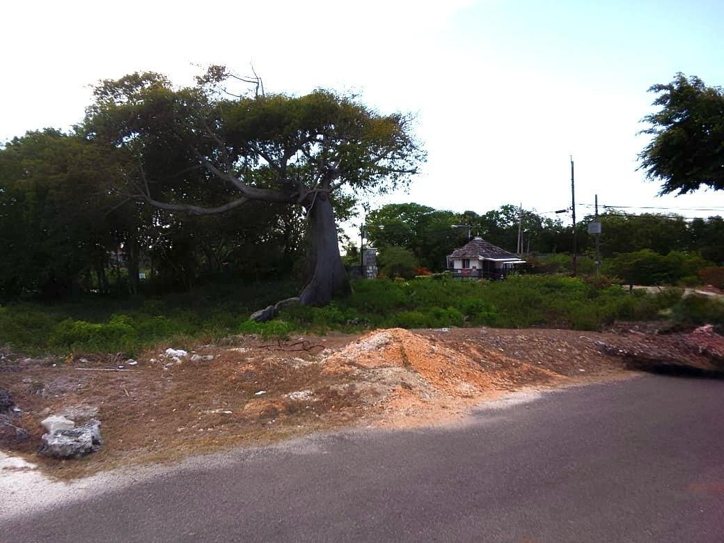 Seventh image of Lot 63- Lobster Lane , Silver San in Duncans, Trelawny, Jamaica - property is For Sale
