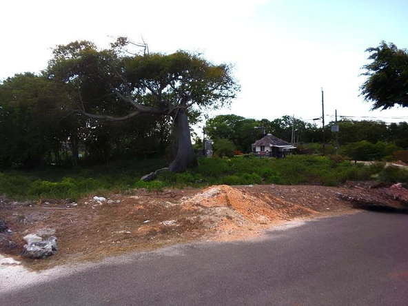 Seventh image of Lot 63- Lobster Lane , Silver San in Duncans, Trelawny, Jamaica - property is For Sale