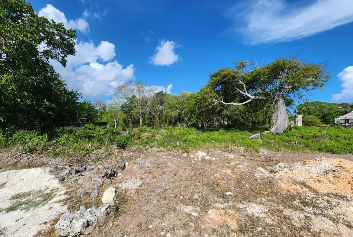 Ninth image of Lot 63- Lobster Lane , Silver San in Duncans, Trelawny, Jamaica - property is For Sale