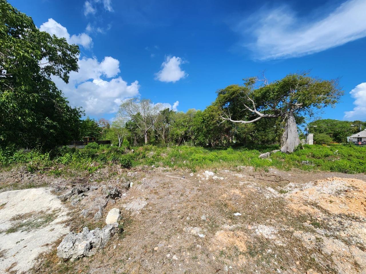 Ninth image of Lot 63- Lobster Lane , Silver San in Duncans, Trelawny, Jamaica - property is For Sale