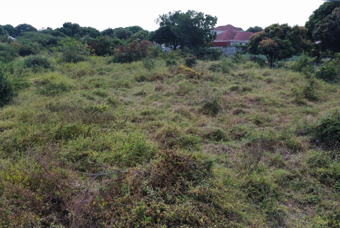 Fifth image of 85 West Finchley Rd, Southav in Yallahs, St. Thomas, Jamaica - property is For Sale