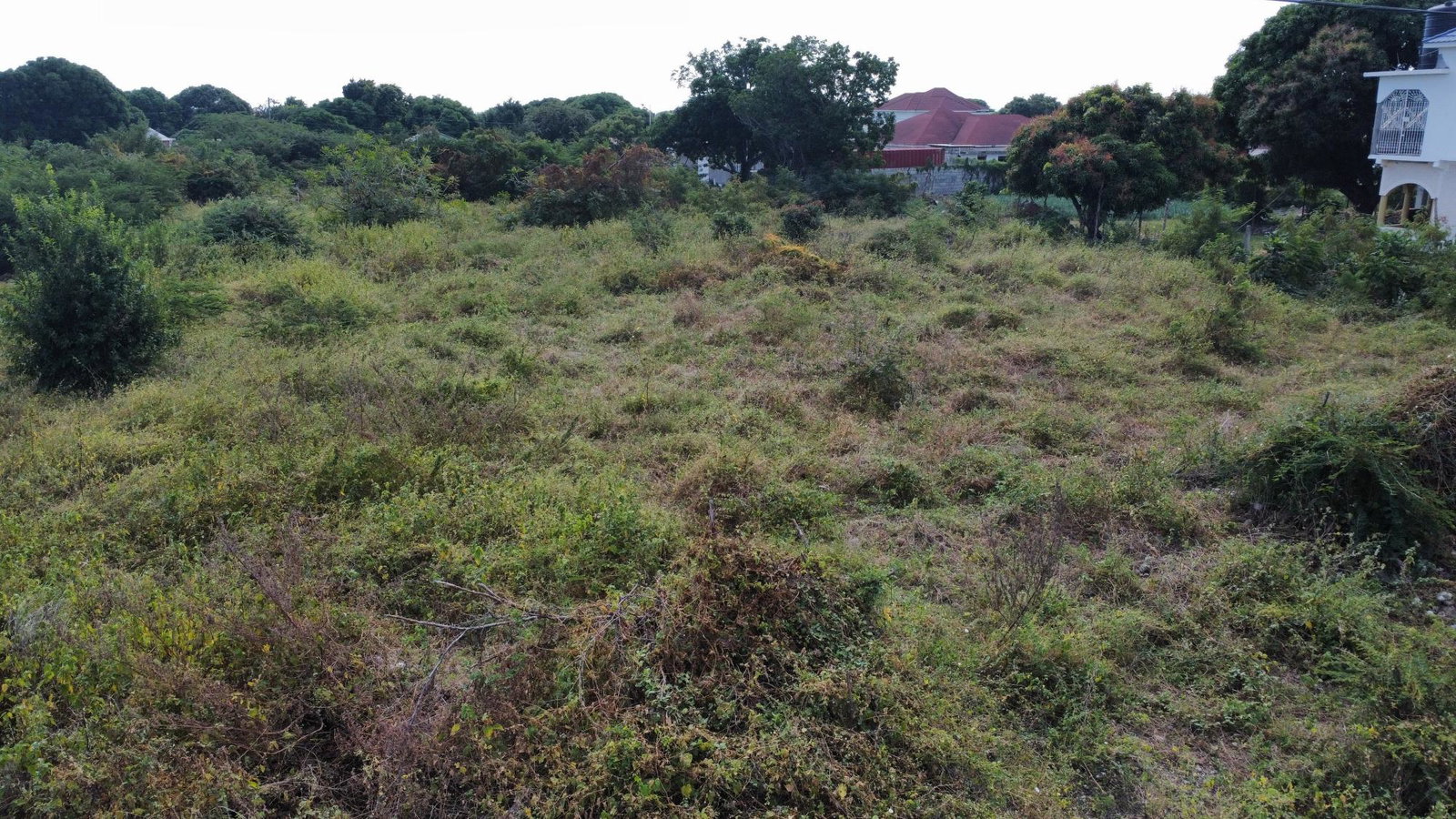 Fifth image of 85 West Finchley Rd, Southav in Yallahs, St. Thomas, Jamaica - property is For Sale