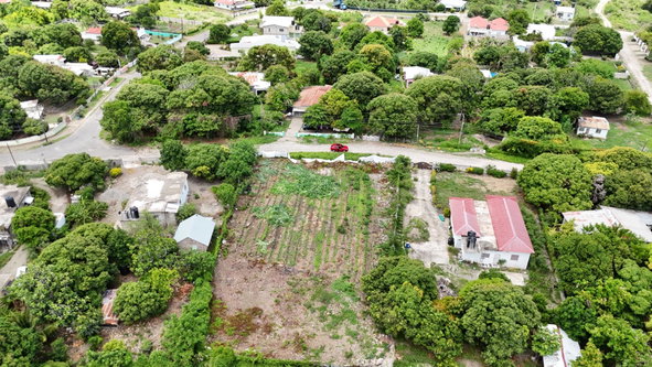 Fourth image of 170-170 East Finchley Road in Yallahs, St. Thomas, Jamaica - property is For Sale
