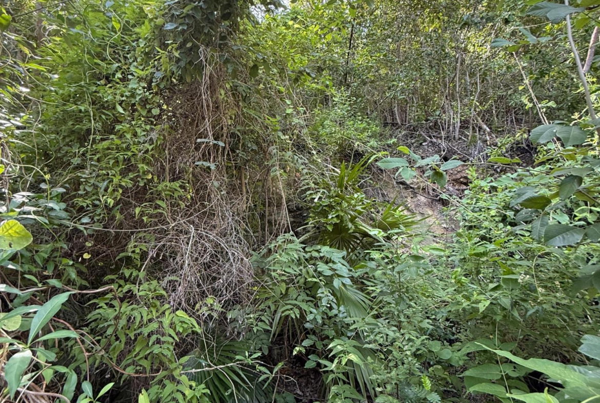 Eighth image of 90 Santa Cruz Blvd, Spring g in Spring Garden, St. Thomas, Jamaica - property is For Sale