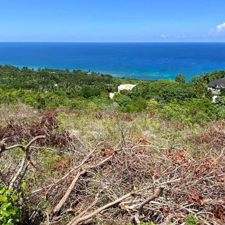 First image of Lot 76 Spring Gardens in Spring Garden, St. James, Jamaica - property is For Sale