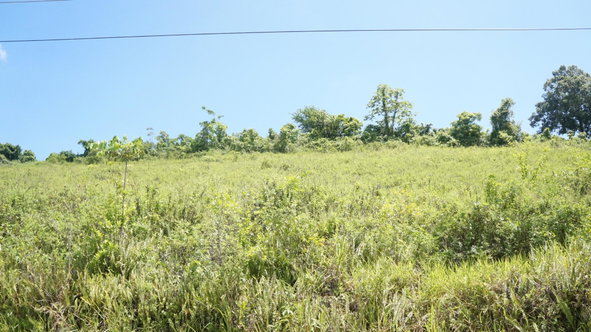 Third image of 26 & 27 Friendship Heights in Friendship Heights, St. Ann, Jamaica - property is For Sale