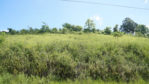 Seventh image of 26 & 27 Friendship Heights in Friendship Heights, St. Ann, Jamaica - property is For Sale