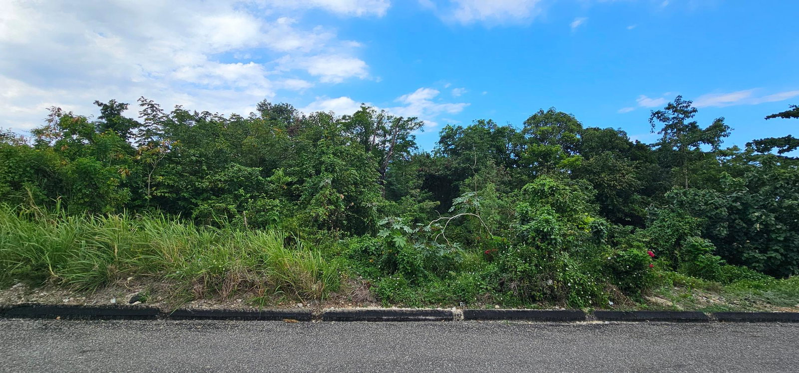 Third image of 226 Rio Nuevo Circle in Rio Nuevo, St. Mary, Jamaica - property is For Sale