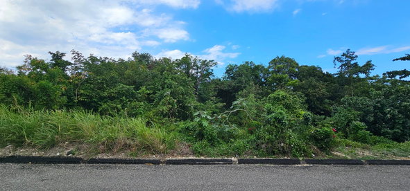Third image of 226 Rio Nuevo Circle in Rio Nuevo, St. Mary, Jamaica - property is For Sale