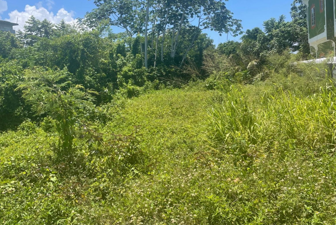 First image of Lot 368 Amaryllis Close, in Lyssons, St. Thomas, Jamaica - property is For Sale