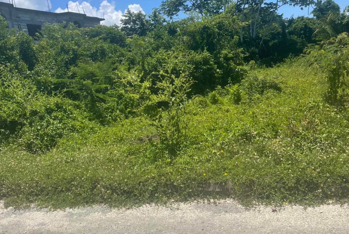 Third image of Lot 368 Amaryllis Close, in Lyssons, St. Thomas, Jamaica - property is For Sale