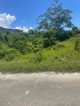 Third image of Lot 368 Amaryllis Close, in Lyssons, St. Thomas, Jamaica - property is For Sale