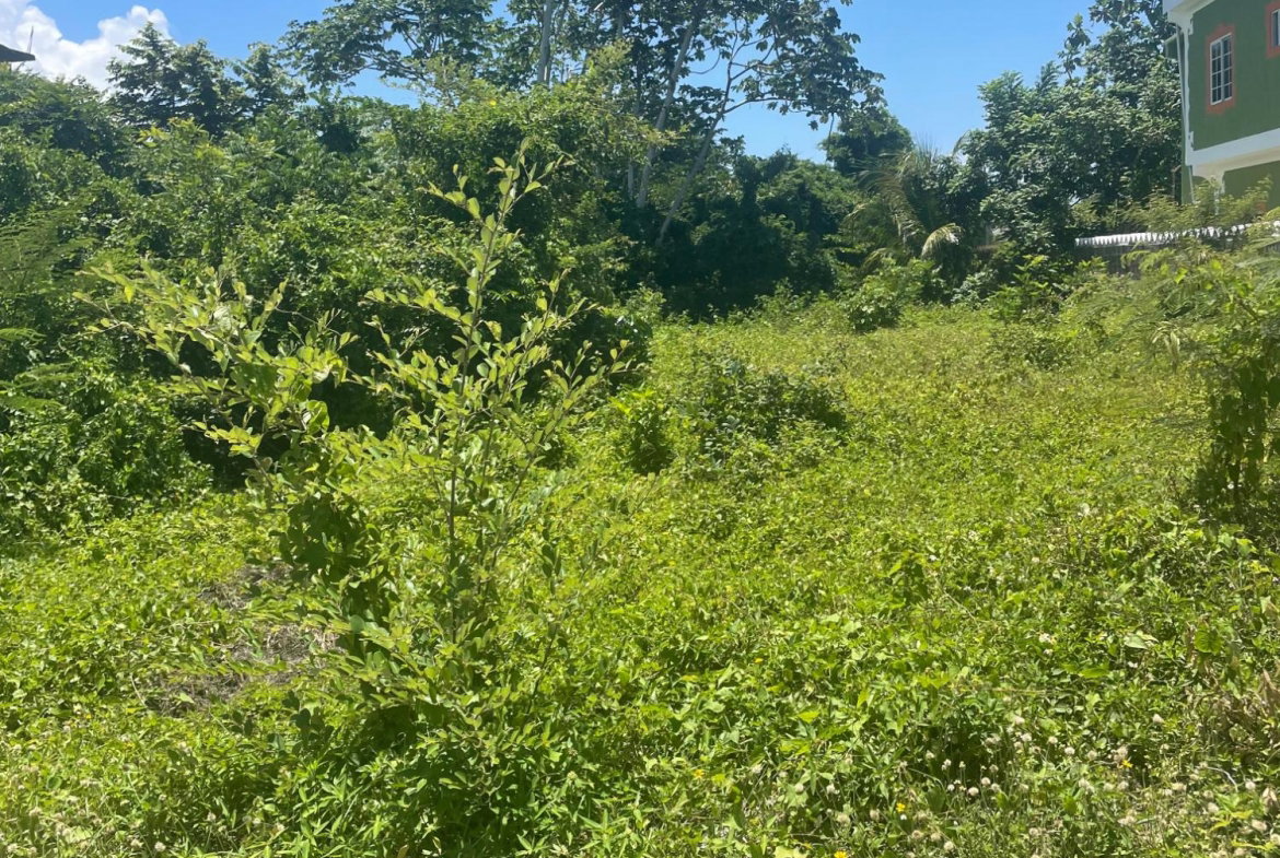 Fourth image of Lot 368 Amaryllis Close, in Lyssons, St. Thomas, Jamaica - property is For Sale