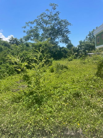 Fourth image of Lot 368 Amaryllis Close, in Lyssons, St. Thomas, Jamaica - property is For Sale