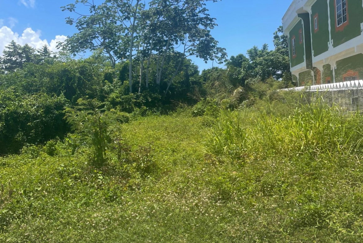 Fifth image of Lot 368 Amaryllis Close, in Lyssons, St. Thomas, Jamaica - property is For Sale